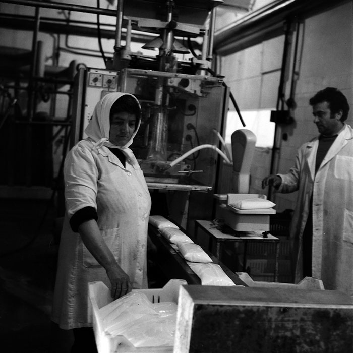 minerva_1970_Agrare_c1_c8r4_010