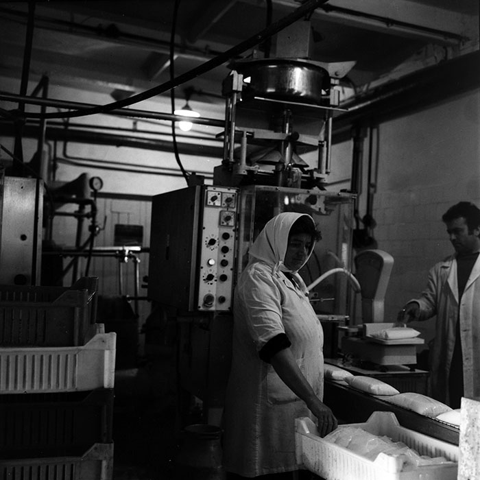 minerva_1970_Agrare_c1_c8r4_011