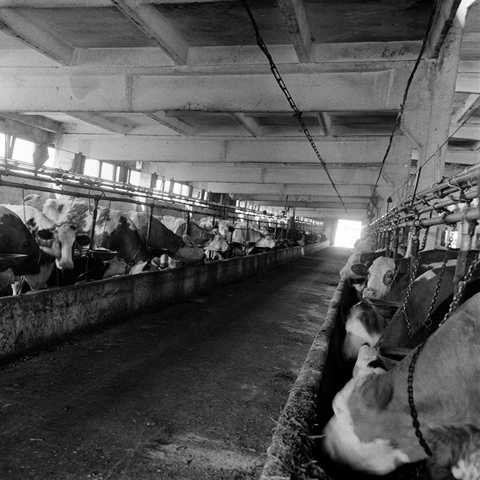 minerva_1970_Agrare_c1_c8r4_012