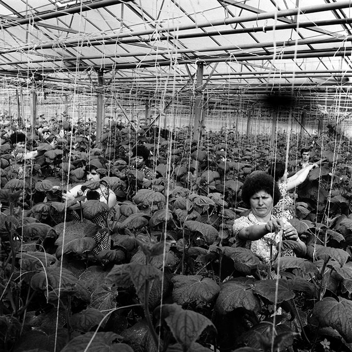 minerva_1970_Agrare_c1_c8r4_014