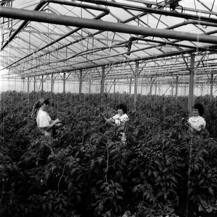 minerva_1970_Agrare_c1_c8r4_017