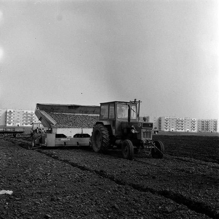 minerva_1970_Agrare_c1_c8r4_020