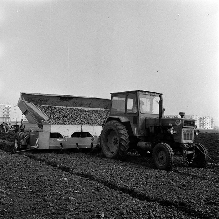 minerva_1970_Agrare_c1_c8r4_021