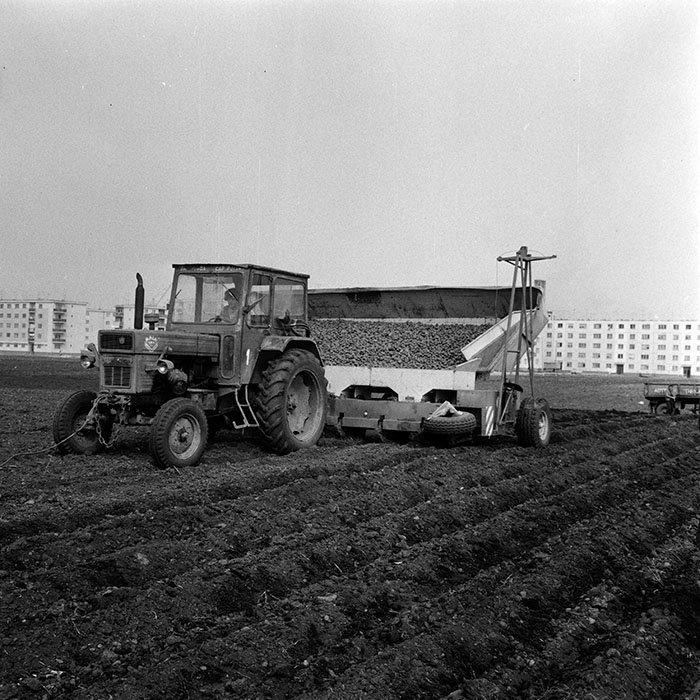 minerva_1970_Agrare_c1_c8r4_022