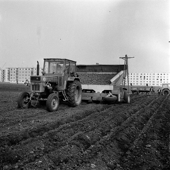 minerva_1970_Agrare_c1_c8r4_023