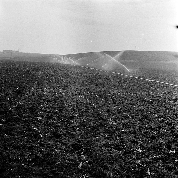 minerva_1970_Agrare_c1_c8r4_026