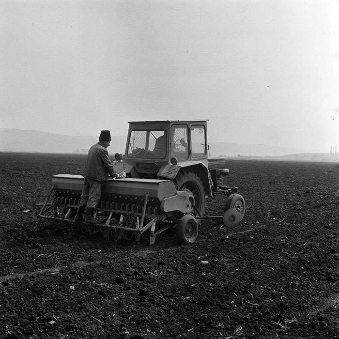 minerva_1970_Agrare_c1_c8r4_028