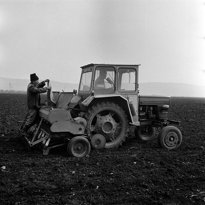 minerva_1970_Agrare_c1_c8r4_029