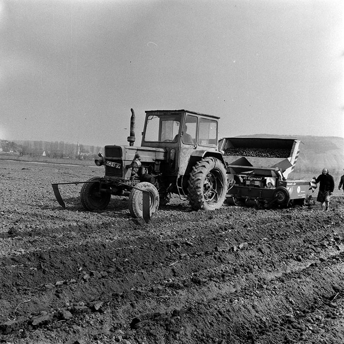 minerva_1970_Agrare_c1_c8r4_030