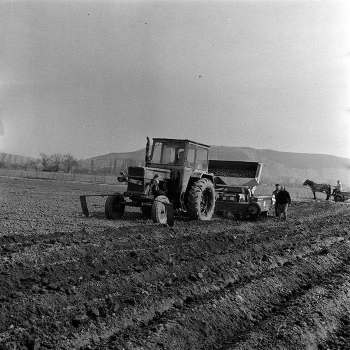 minerva_1970_Agrare_c1_c8r4_031