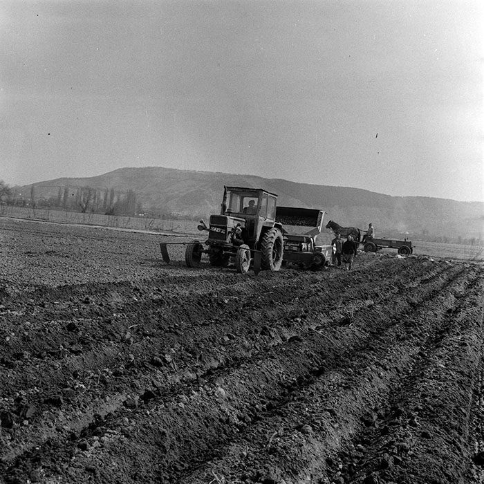 minerva_1970_Agrare_c1_c8r4_032