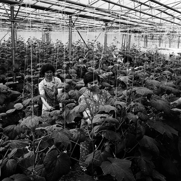 minerva_1970_Agrare_c1_c8r4_033