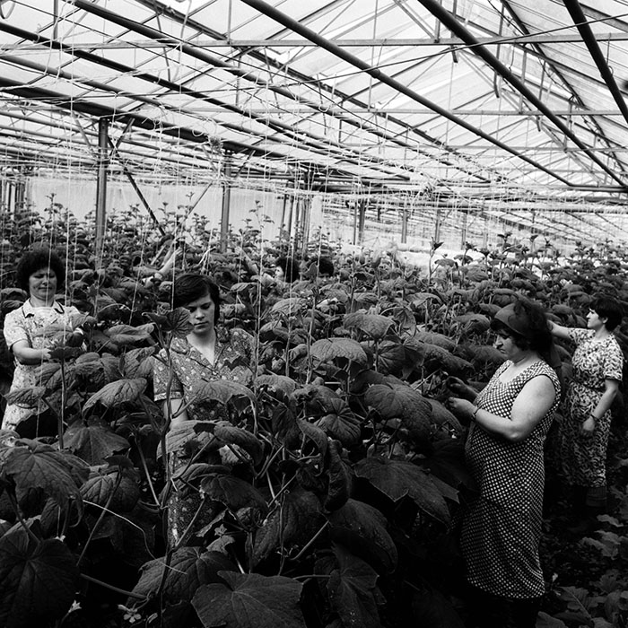 minerva_1970_Agrare_c1_c8r4_035