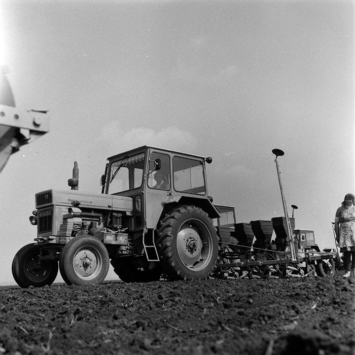 minerva_1970_Agrare_c1_c8r4_037