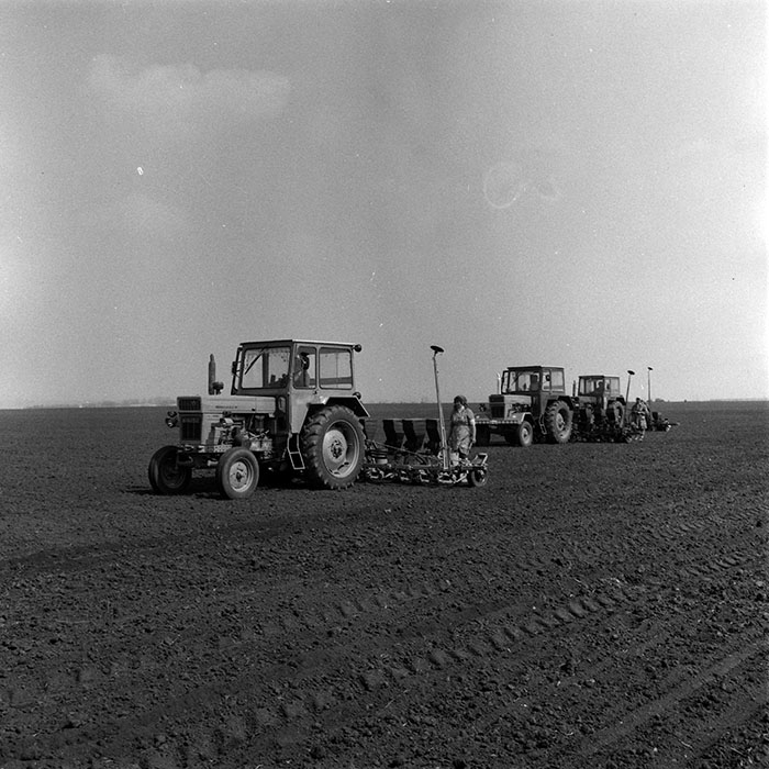 minerva_1970_Agrare_c1_c8r4_041