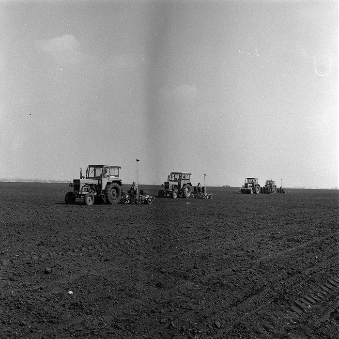 minerva_1970_Agrare_c1_c8r4_046