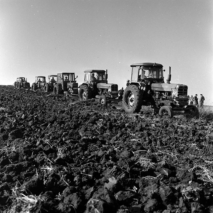 minerva_1970_Agrare_c1_c8r5_001