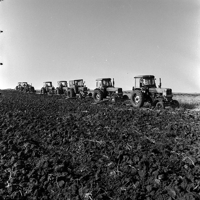 minerva_1970_Agrare_c1_c8r5_003