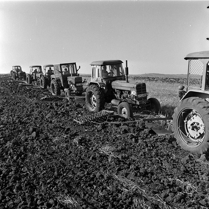 minerva_1970_Agrare_c1_c8r5_004