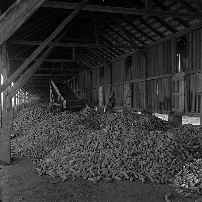 minerva_1970_Agrare_c1_c8r5_005