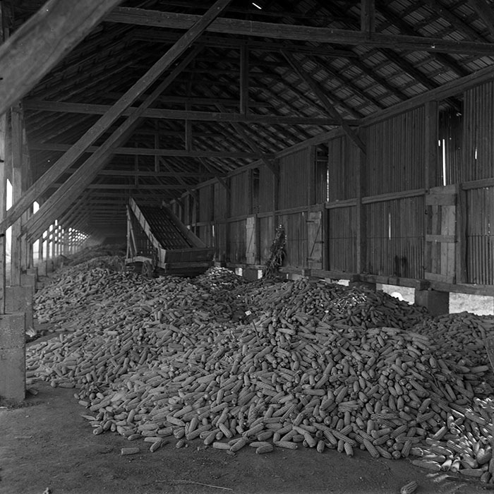 minerva_1970_Agrare_c1_c8r5_006