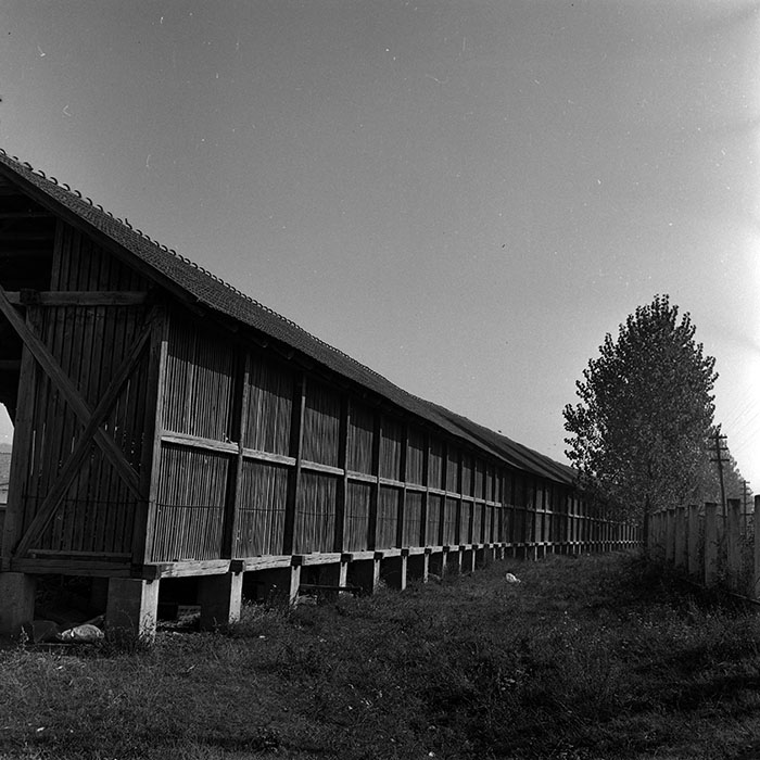 minerva_1970_Agrare_c1_c8r5_007