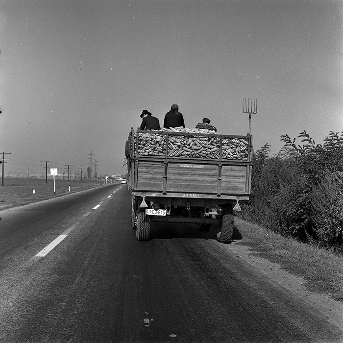 minerva_1970_Agrare_c1_c8r5_008