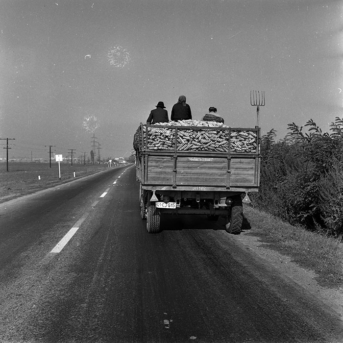 minerva_1970_Agrare_c1_c8r5_009