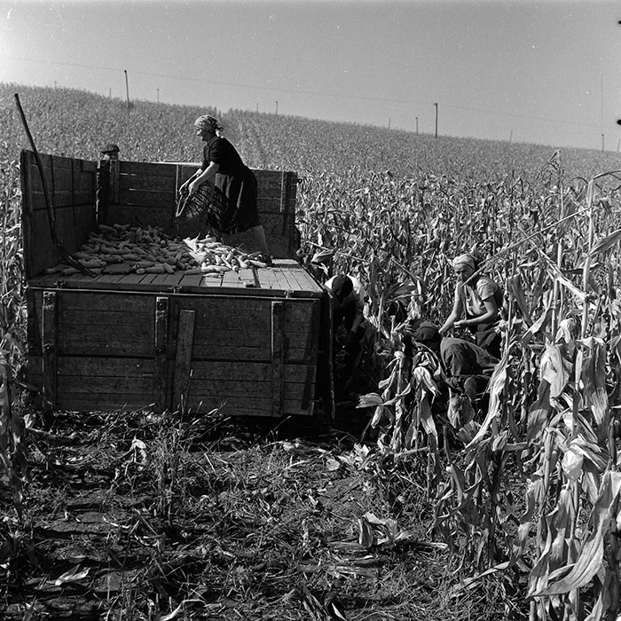 minerva_1970_Agrare_c1_c8r5_011