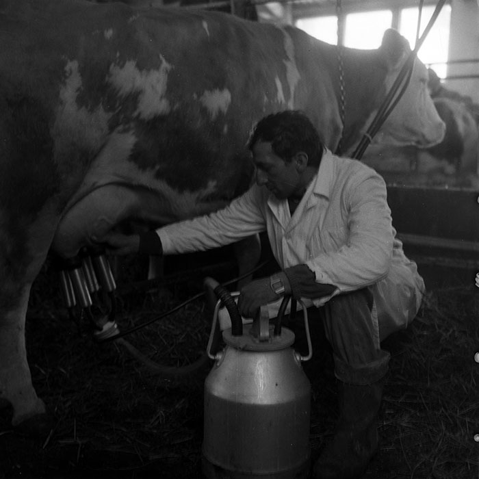 minerva_1970_Agrare_c1_c9r1_001