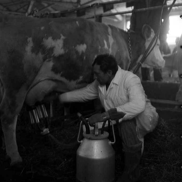 minerva_1970_Agrare_c1_c9r1_003