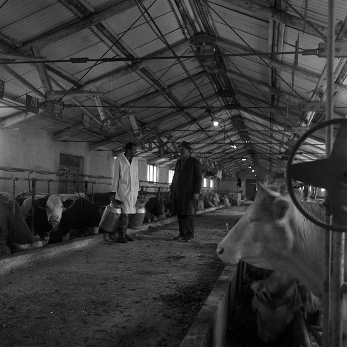 minerva_1970_Agrare_c1_c9r1_005