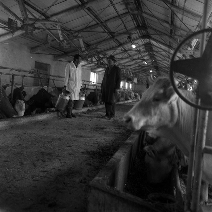 minerva_1970_Agrare_c1_c9r1_006