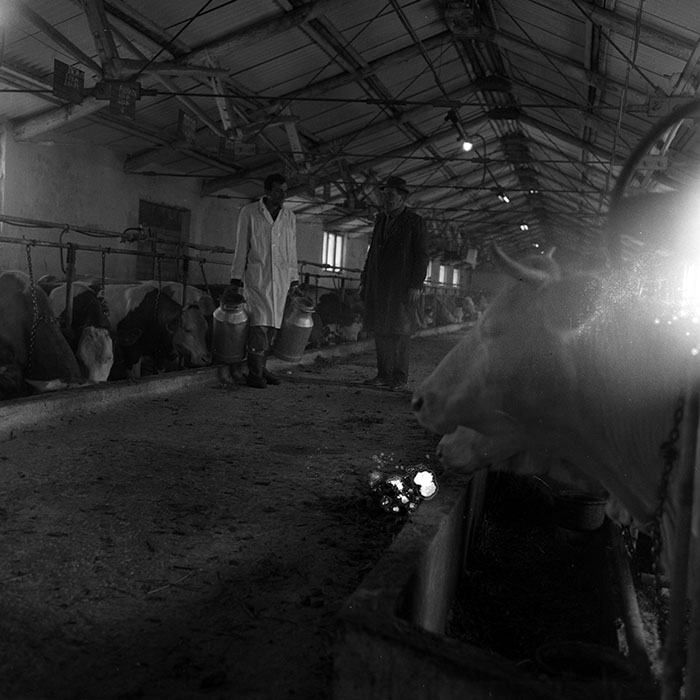 minerva_1970_Agrare_c1_c9r1_007