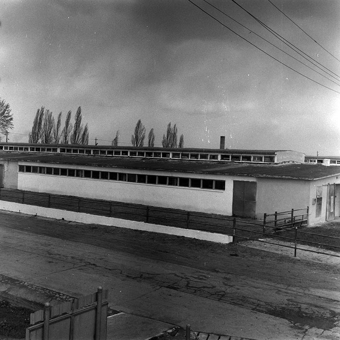 minerva_1970_Agrare_c1_c9r1_017