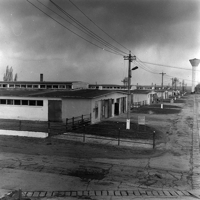 minerva_1970_Agrare_c1_c9r1_020