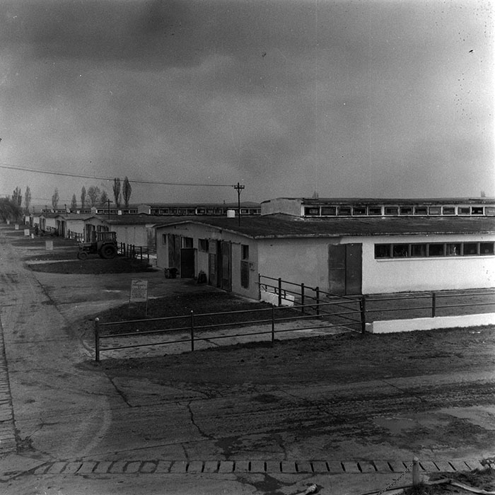 minerva_1970_Agrare_c1_c9r1_022