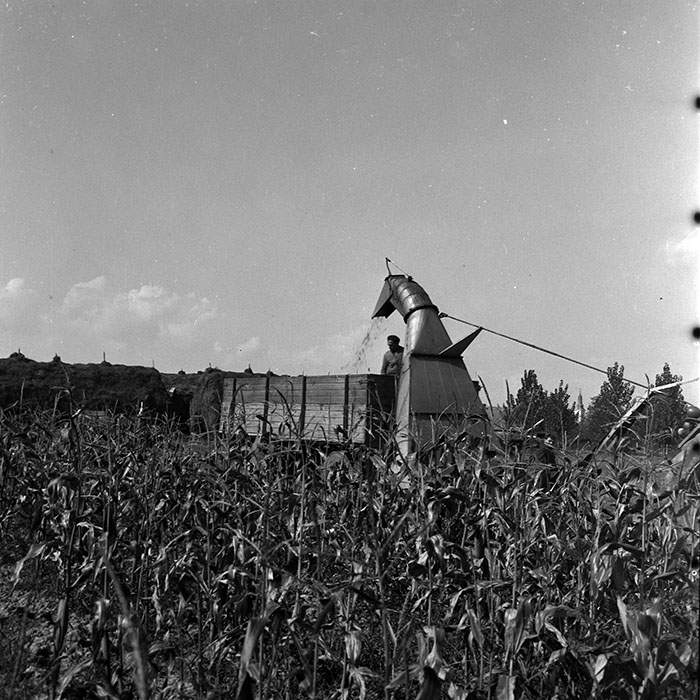 minerva_1970_Agrare_c1_c9r2_004