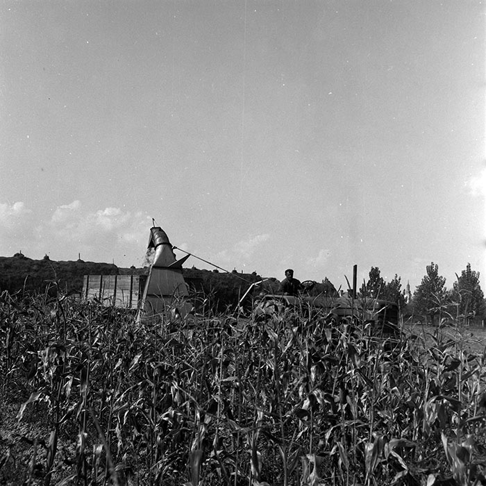 minerva_1970_Agrare_c1_c9r2_005