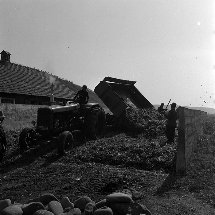 minerva_1970_Agrare_c1_c9r2_006