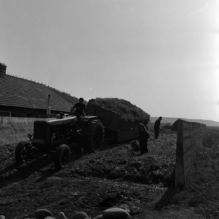 minerva_1970_Agrare_c1_c9r2_008