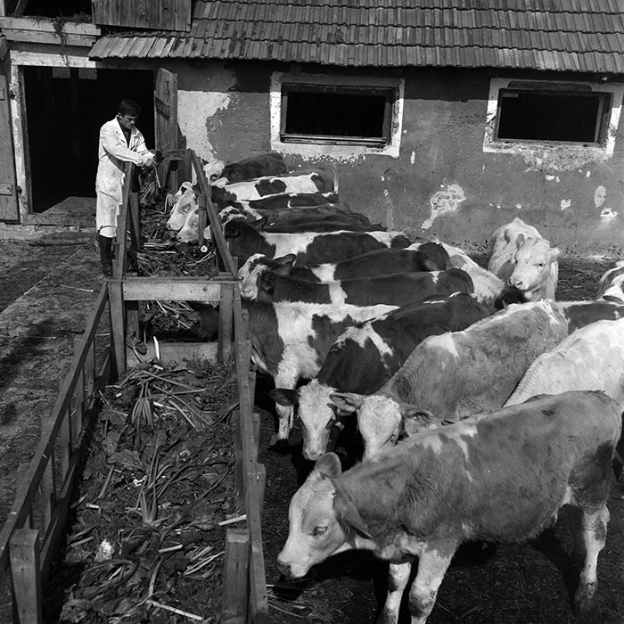 minerva_1970_Agrare_c1_c9r2_009