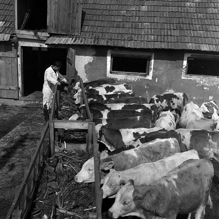 minerva_1970_Agrare_c1_c9r2_010