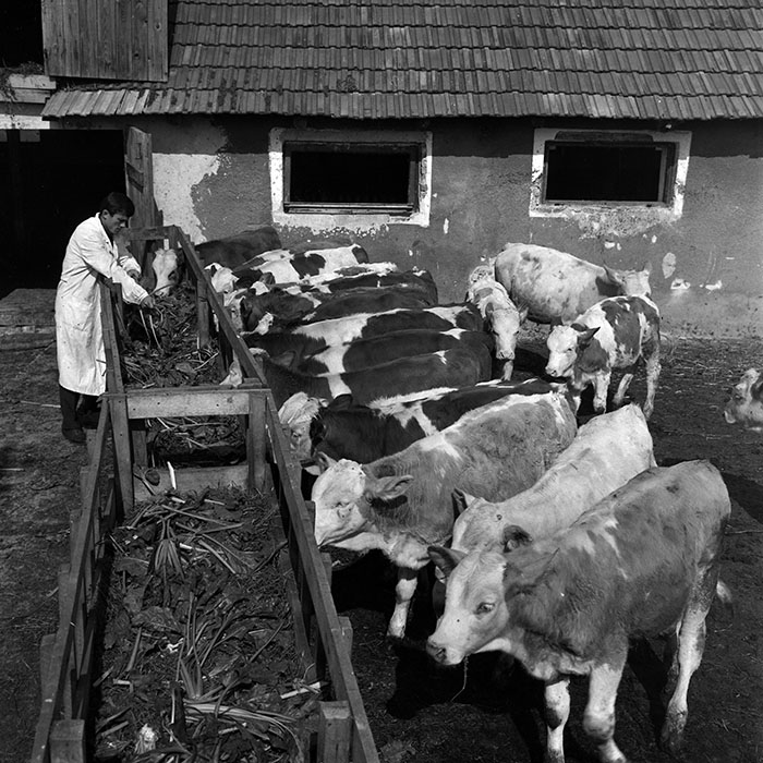 minerva_1970_Agrare_c1_c9r2_011