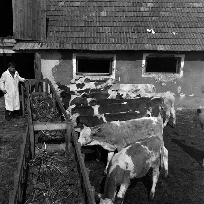 minerva_1970_Agrare_c1_c9r2_012