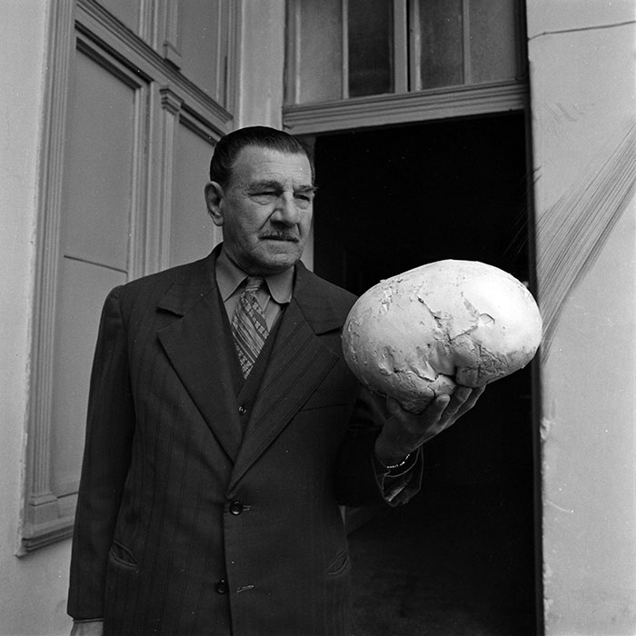 minerva_1970_Agrare_c1_c9r2_013