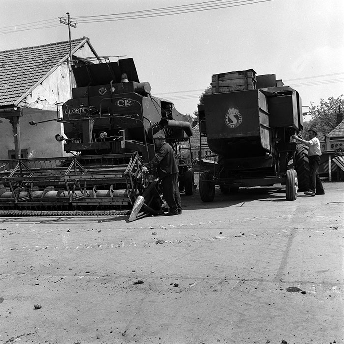 minerva_1970_Agrare_c1_c9r3_001