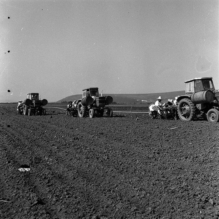 minerva_1970_Agrare_c1_c9r3_003