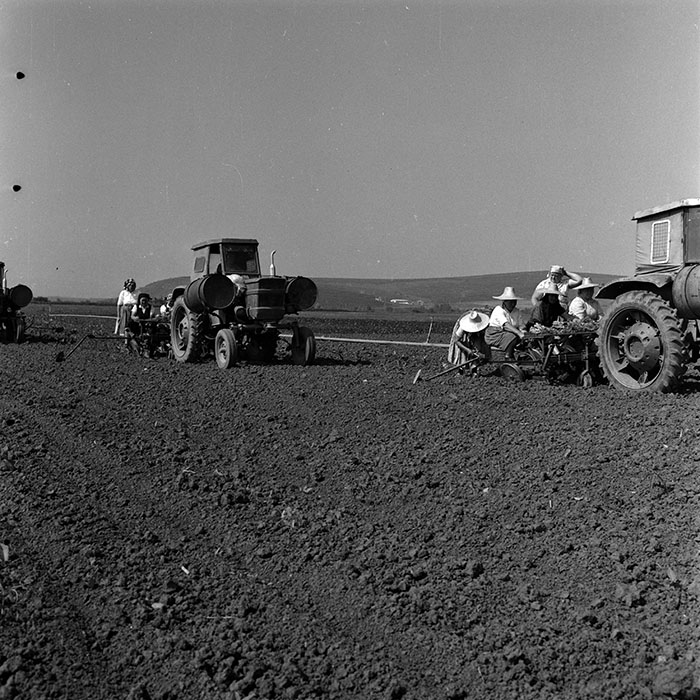 minerva_1970_Agrare_c1_c9r3_004