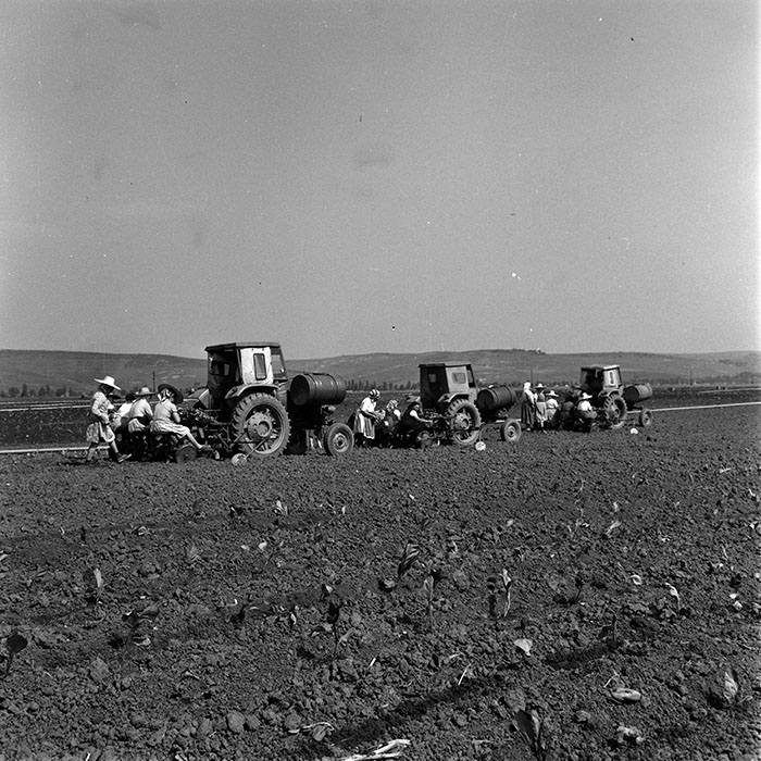 minerva_1970_Agrare_c1_c9r3_007